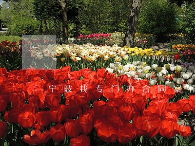 宁波找专门办合同案律师 宁波找专门办合同案律师