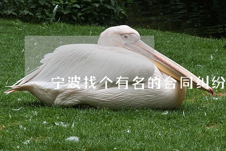 宁波找个有名的合同纠纷律师 宁波找个有名的合同纠纷律师