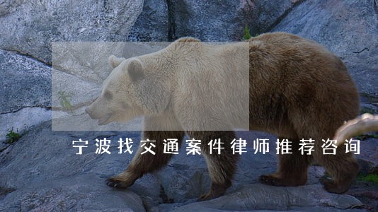 宁波找交通案件律师推荐咨询 宁波找交通案件律师推荐咨询