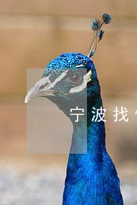 宁波找债务纠纷律师代理费 宁波找债务纠纷律师代理费