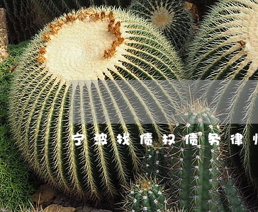 宁波找债权债务律师咨询费用 宁波找债权债务律师咨询费用