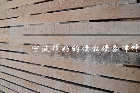 宁波找好的债权债务律师代理费