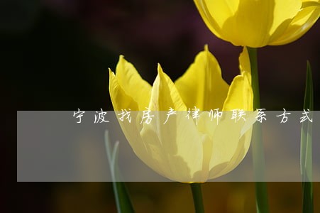 宁波找房产律师联系方式 宁波找房产律师联系方式