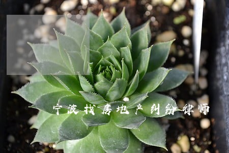 宁波找房地产纠纷律师 宁波找房地产纠纷律师