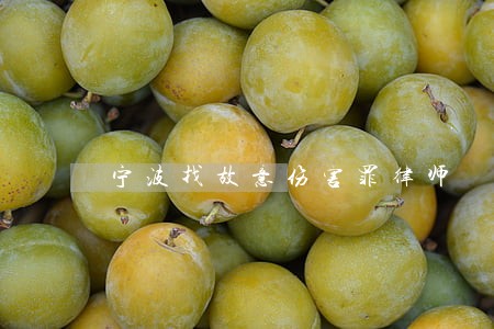 宁波找故意伤害罪律师 宁波找故意伤害罪律师