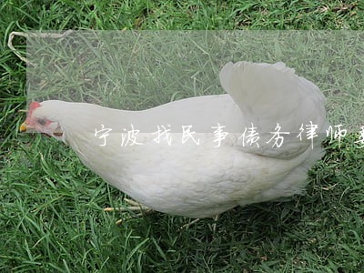 宁波找民事债务律师委托流程 宁波找民事债务律师委托流程