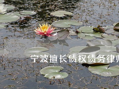 宁波擅长债权债务律师代理费 宁波擅长债权债务律师代理费