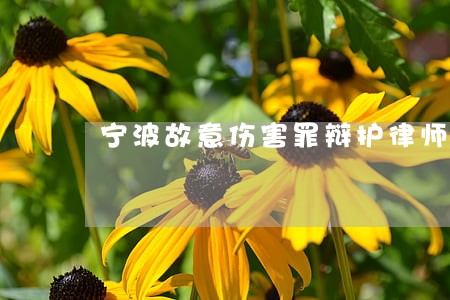 宁波故意伤害罪辩护律师费 宁波故意伤害罪辩护律师费