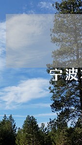 宁波本地刑辩律师选谁 宁波本地刑辩律师选谁