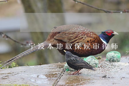 宁波本地取保候审律师 宁波本地取保候审律师