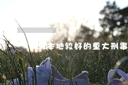 宁波本地较好的重大刑事案律师 宁波本地较好的重大刑事案律师