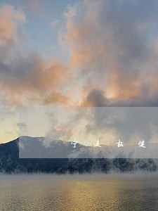 宁波权健违法查取 宁波权健违法查取