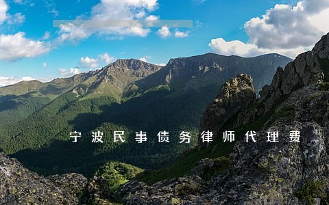 宁波民事债务律师代理费 宁波民事债务律师代理费