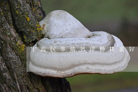 宁波民事债务律师找谁好 宁波民事债务律师找谁好