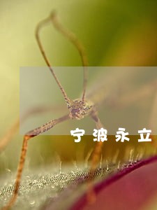 宁波永立法律咨询服务 宁波永立法律咨询服务