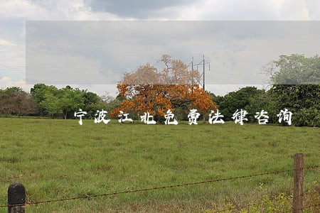 宁波江北免费法律咨询 宁波江北免费法律咨询