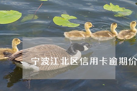 宁波江北区信用卡逾期价格 宁波江北区信用卡逾期价格