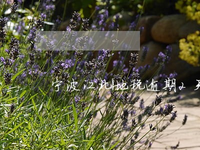 宁波江北地税逾期2天 宁波江北地税逾期2天