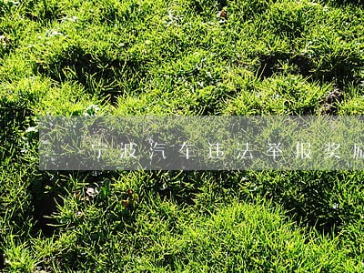 宁波汽车违法举报奖励