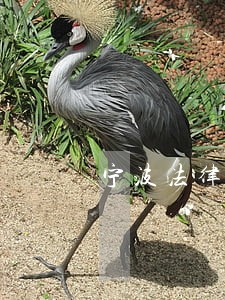 宁波法律咨询服务排行 宁波法律咨询服务排行