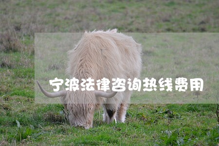 宁波法律咨询热线费用 宁波法律咨询热线费用