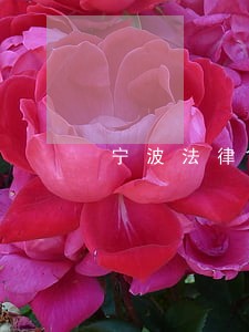 宁波法律顾问免费咨询 宁波法律顾问免费咨询