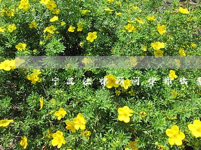 宁波法律顾问律师收费 宁波法律顾问律师收费