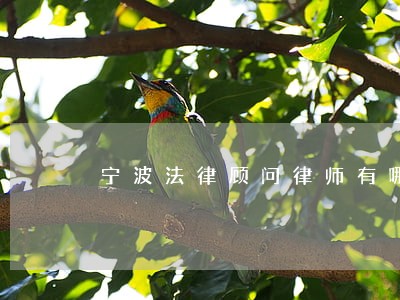 宁波法律顾问律师有哪些 宁波法律顾问律师有哪些