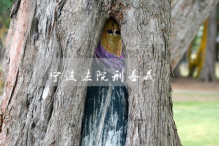 宁波法院刑善义 宁波法院刑善义