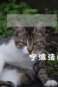 宁波法院司法拍卖车子 宁波法院司法拍卖车子
