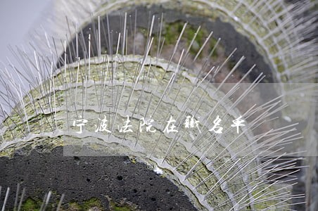 宁波法院在职名单 宁波法院在职名单