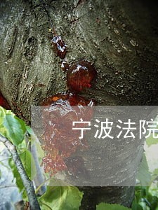 宁波法院庭省直播 宁波法院庭省直播