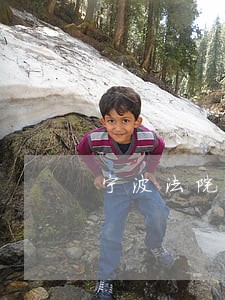 宁波法院执行查询系统
