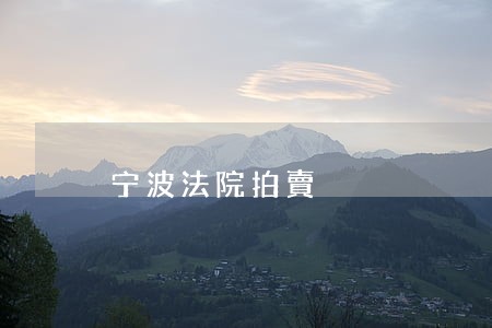 宁波法院拍賣