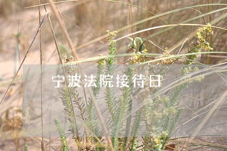 宁波法院接待日 宁波法院接待日