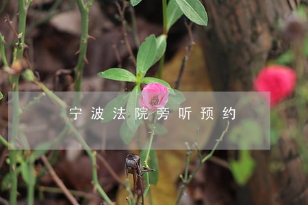 宁波法院旁听预约 宁波法院旁听预约
