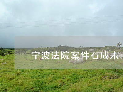 宁波法院案件石成未 宁波法院案件石成未