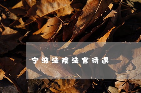 宁波法院法官待遇 宁波法院法官待遇