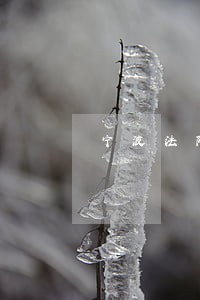 宁波法院邬丹
