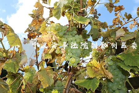 宁波海事法院到鄞州区委党校 宁波海事法院到鄞州区委党校