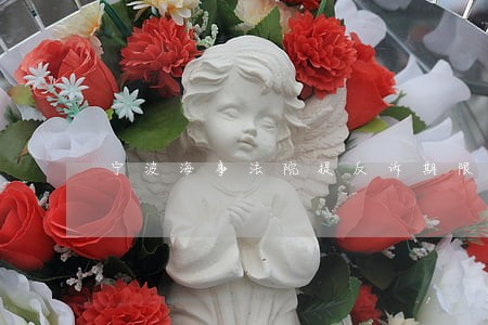 宁波海事法院提反诉期限 宁波海事法院提反诉期限