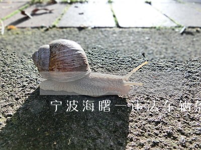 宁波海曙一违法车辆落网 宁波海曙一违法车辆落网