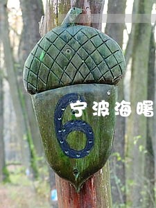 宁波海曙专业离婚债务律师 宁波海曙专业离婚债务律师