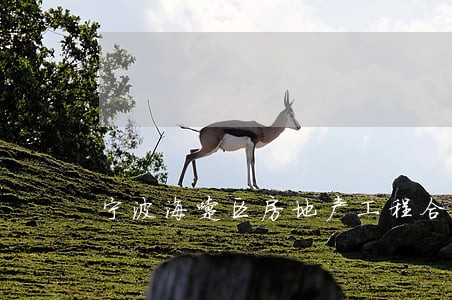 宁波海曙区房地产工程合同找律师 宁波海曙区房地产工程合同找律师