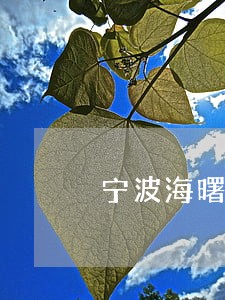 宁波海曙去法院领导