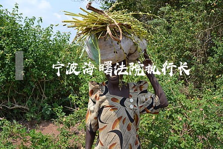 宁波海曙法院执行长 宁波海曙法院执行长