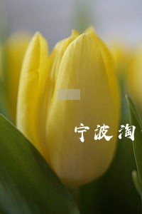 宁波淘宝债务律师 宁波淘宝债务律师