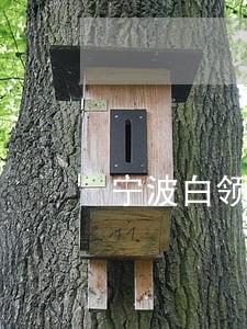 宁波白领融逾期5天 宁波白领融逾期5天