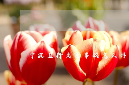 宁波直行交通事故怎么样诉讼 宁波直行交通事故怎么样诉讼