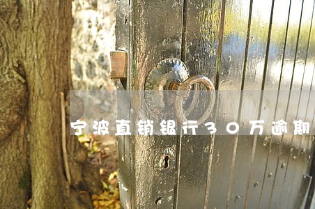 宁波直销银行30万逾期 宁波直销银行30万逾期